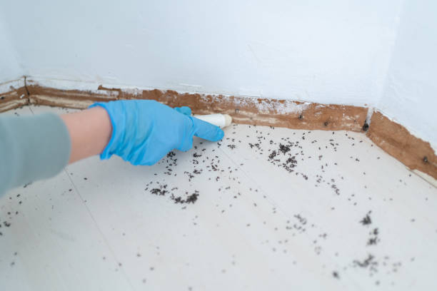 Best Pest Exclusion Services  in Republic, PA